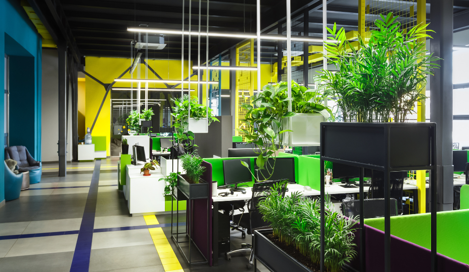 bureau-vegetation